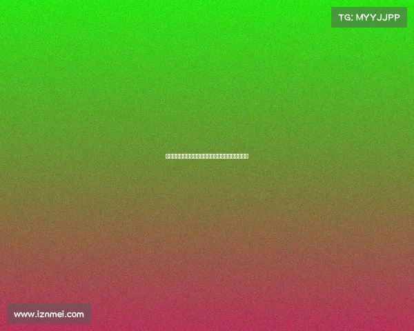 官方：汉堡租借矿工后卫戈乔雷什维利并附带买断条款